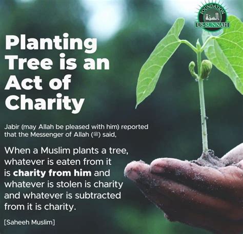 plant a tree sadaqah jariyah|Make a Difference by Planting a Tree this Ramadan.